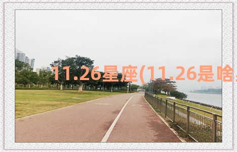 11.26星座(11.26是啥星座)