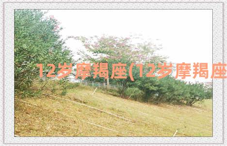 12岁摩羯座(12岁摩羯座性格)