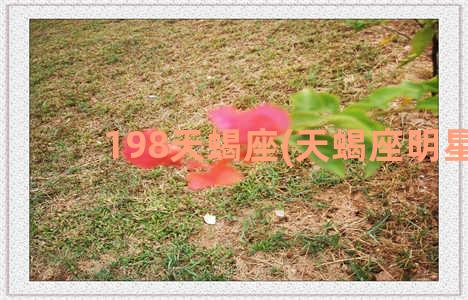 198天蝎座(天蝎座明星)