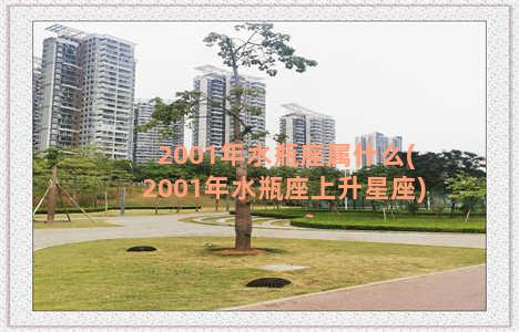 2001年水瓶座属什么(2001年水瓶座上升星座)