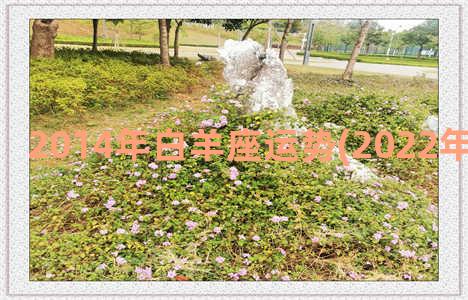 2014年白羊座运势(2022年白羊座学业)