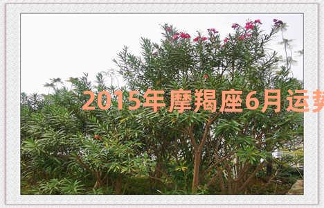 2015年摩羯座6月运势