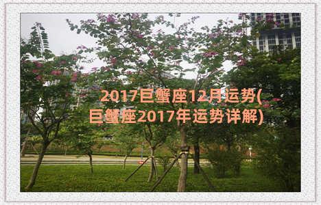 2017巨蟹座12月运势(巨蟹座2017年运势详解)