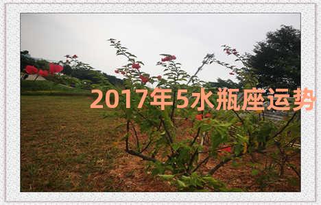 2017年5水瓶座运势