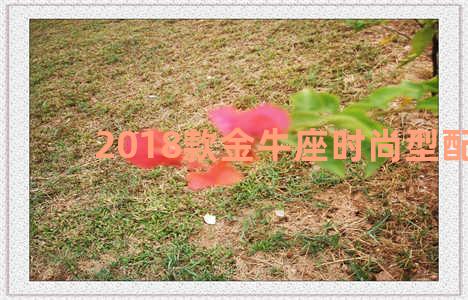 2018款金牛座时尚型配置