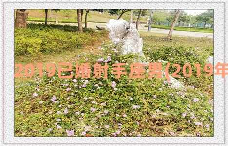 2019已婚射手座男(2019年度最佳射手)