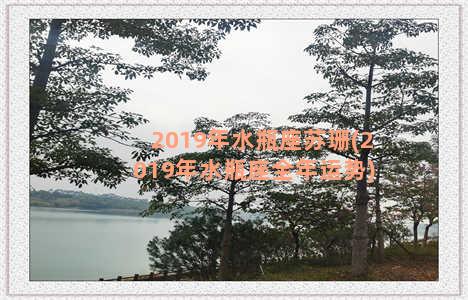 2019年水瓶座苏珊(2019年水瓶座全年运势)