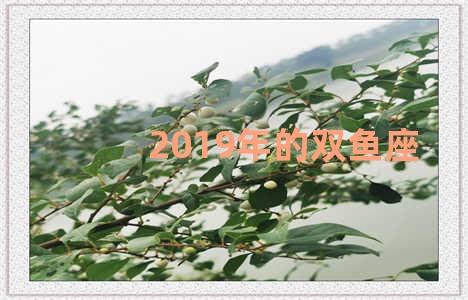 2019年的双鱼座