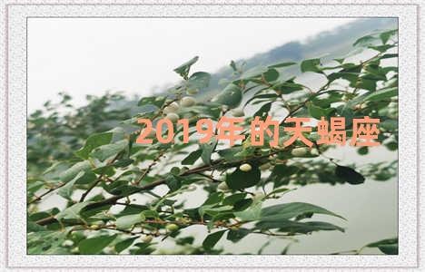 2019年的天蝎座