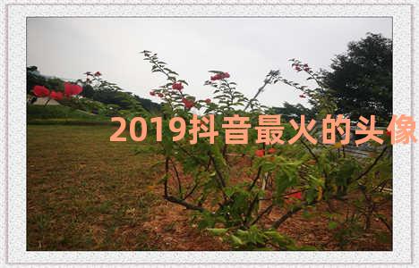 2019抖音最火的头像