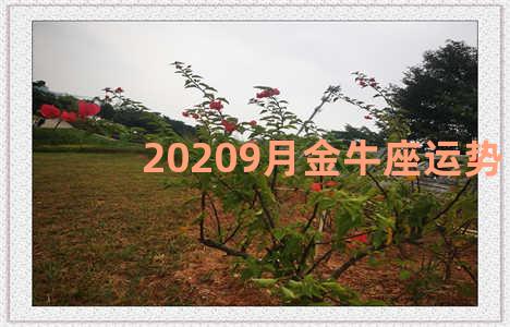 20209月金牛座运势