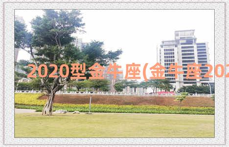 2020型金牛座(金牛座2020年运势)