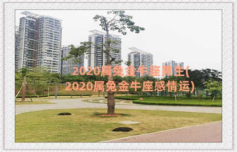 2020属兔金牛座男生(2020属兔金牛座感情运)