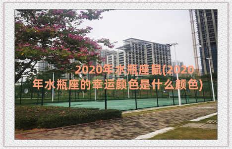 2020年水瓶座鼠(2020年水瓶座的幸运颜色是什么颜色)