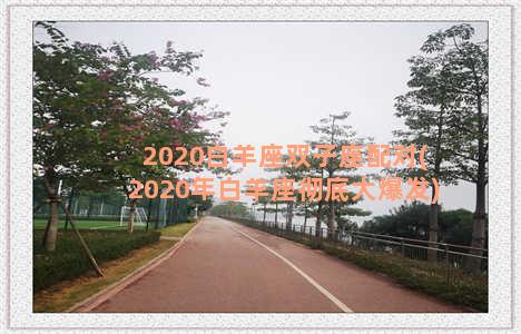 2020白羊座双子座配对(2020年白羊座彻底大爆发)