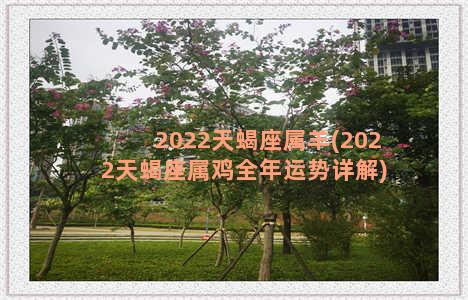 2022天蝎座属羊(2022天蝎座属鸡全年运势详解)