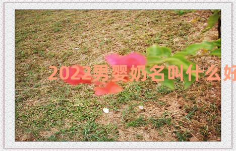 2022男婴奶名叫什么好听