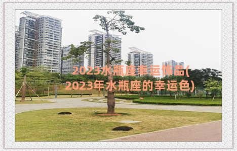 2023水瓶座幸运饰品(2023年水瓶座的幸运色)