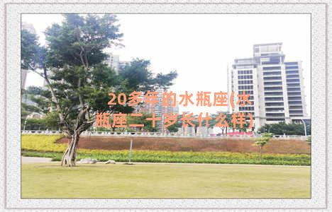 20多年的水瓶座(水瓶座二十岁长什么样)