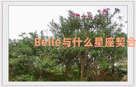 Belle与什么星座契合