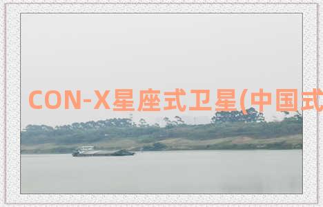 CON-X星座式卫星(中国式星座图片)
