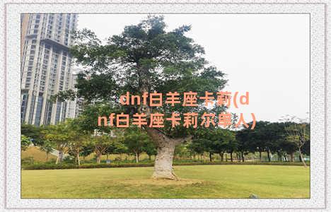 dnf白羊座卡莉(dnf白羊座卡莉尔单人)