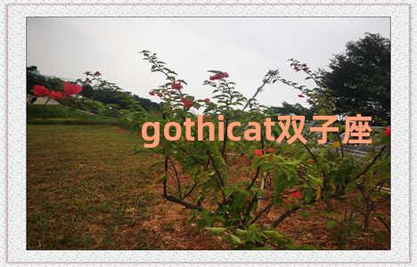 gothicat双子座