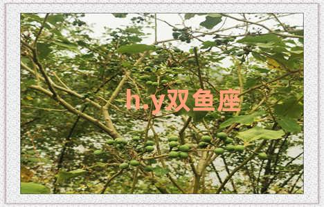 h.y双鱼座