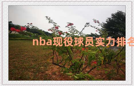 nba现役球员实力排名