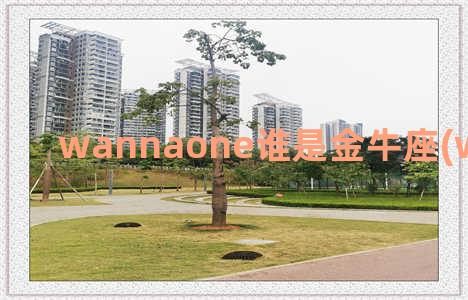 wannaone谁是金牛座(wannaone队长)