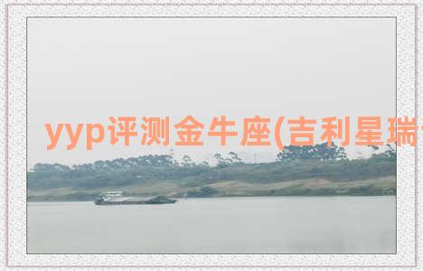 yyp评测金牛座(吉利星瑞评测yyp)