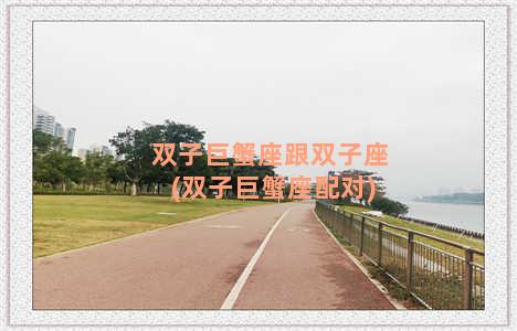 双子巨蟹座跟双子座(双子巨蟹座配对)