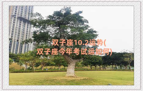 双子座10.2运势(双子座今年考试运如何)