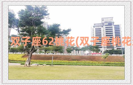 双子座62桃花(双子座桃花运势2023)