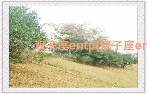 双子座entp(双子座entp)