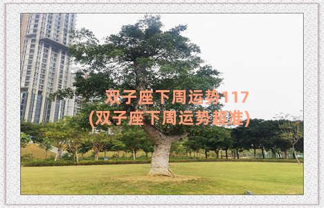 双子座下周运势117(双子座下周运势超准)