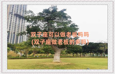 双子座可以做老板吗吗(双子座做老板的多吗)