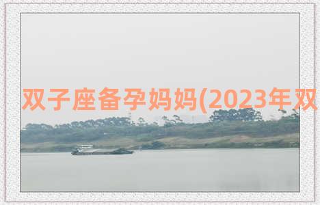 双子座备孕妈妈(2023年双子座备孕)