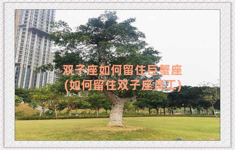 双子座如何留住巨蟹座(如何留住双子座员工)