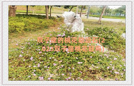 双子座的桃花助运石(2023双子座桃花旺吗)