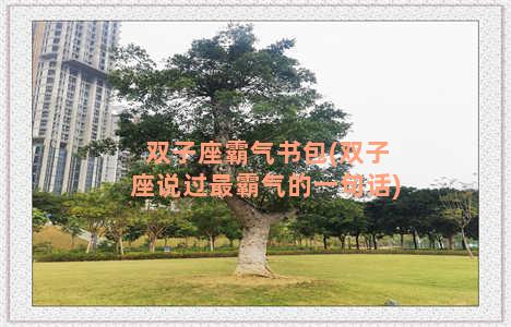 双子座霸气书包(双子座说过最霸气的一句话)