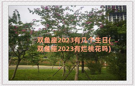 双鱼座2023有几个生日(双鱼座2023有烂桃花吗)