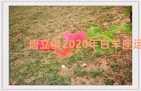 唐立淇2020年白羊座运势