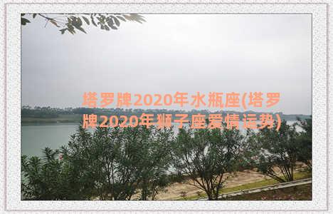 塔罗牌2020年水瓶座(塔罗牌2020年狮子座爱情运势)