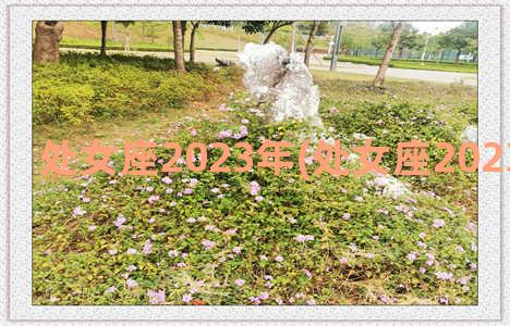 处女座2023年(处女座2023年2月运势)