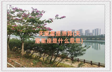 天底星座测算(天底星座是什么意思)