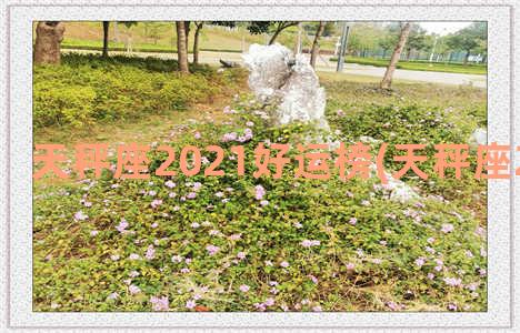 天秤座2021好运榜(天秤座2021好幸运)