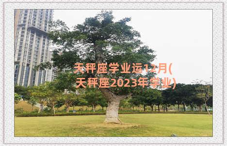 天秤座学业运12月(天秤座2023年学业)