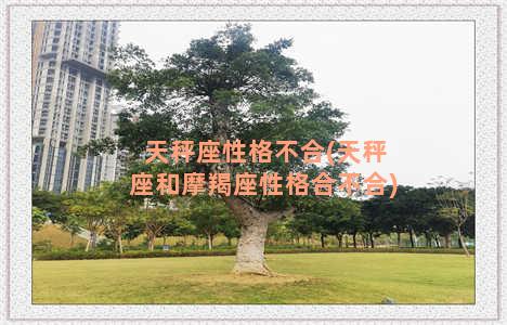 天秤座性格不合(天秤座和摩羯座性格合不合)