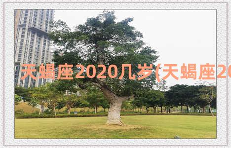 天蝎座2020几岁(天蝎座2020年一月)